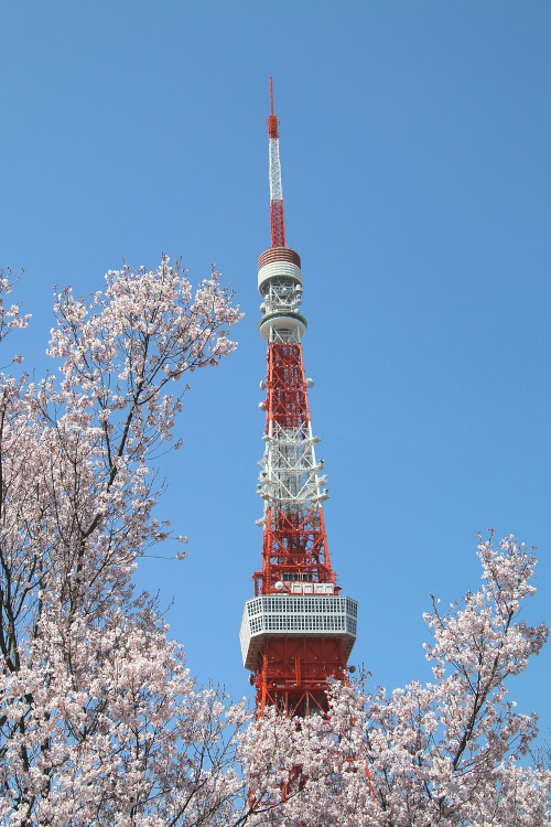 東京タワー