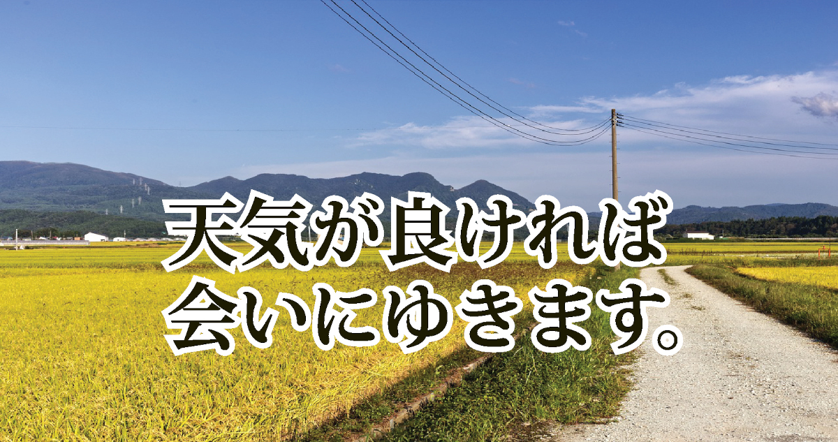 天気が良ければ会いにゆきますタイトル