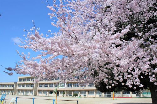 パーフェクトワールド/イメージ